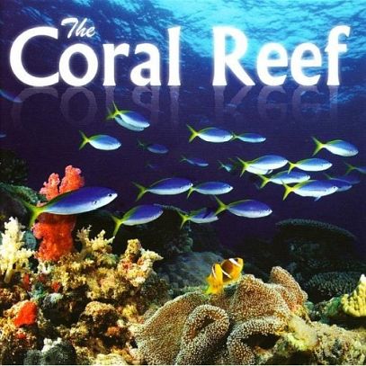 The Coral Reef - Rafa Koralowa (RFM)