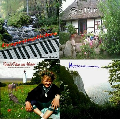 Thomas Schweizer - zestaw 4CD (RFM)