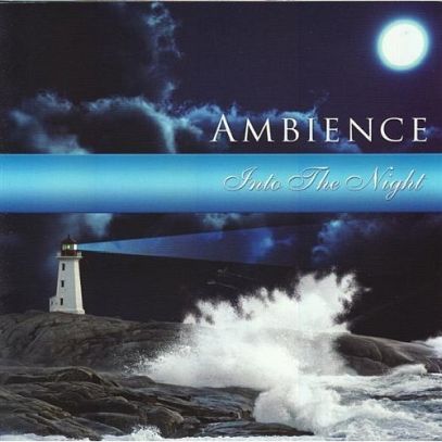 Ambient - Into The Night - Ciemną Nocą (RFM)