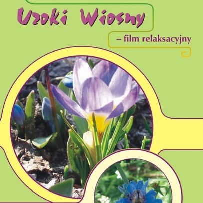 Uroki Wiosny - Film DVD