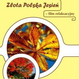 Złota Polska Jesień - Film DVD