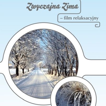 Zwyczajna Zima - Film DVD